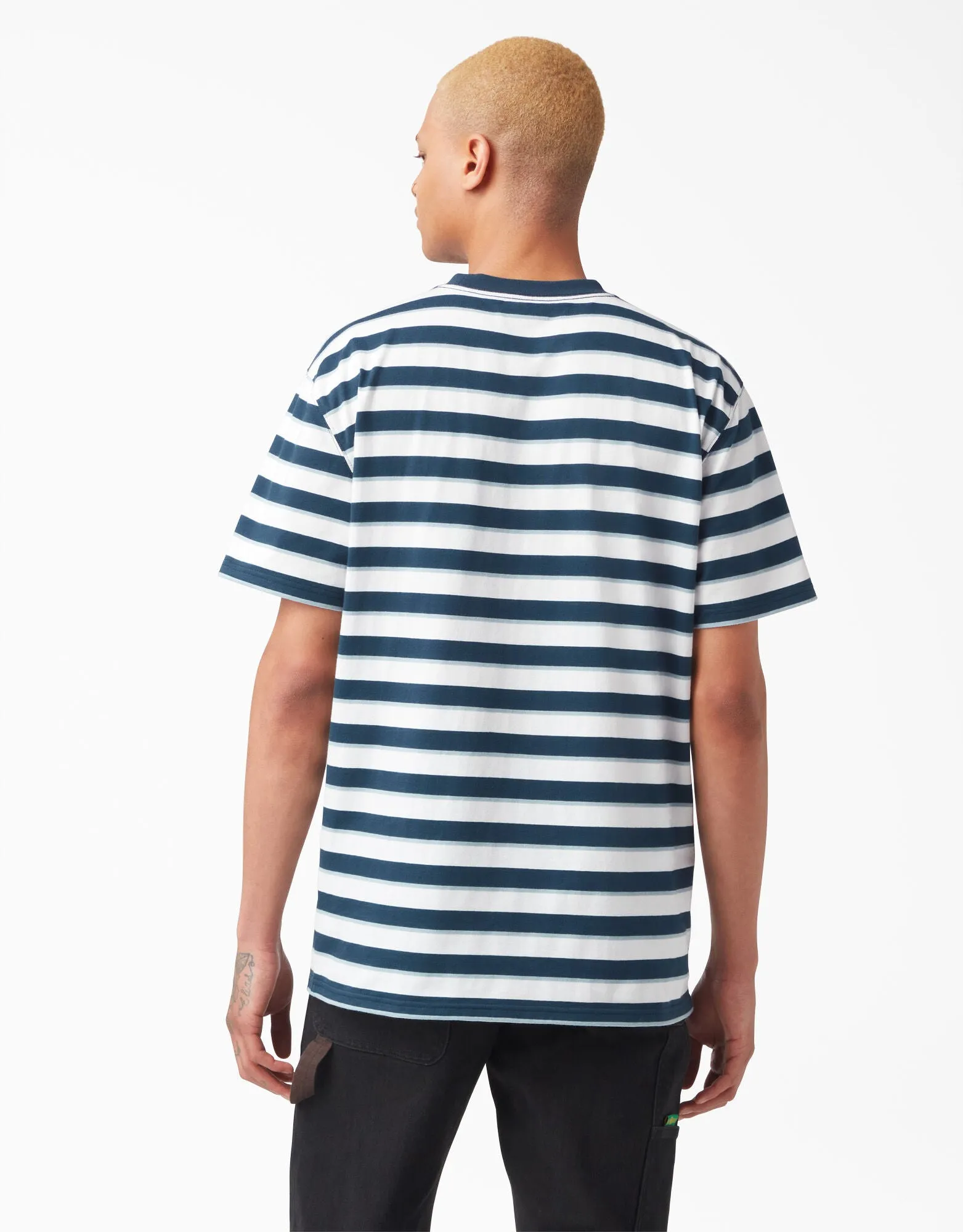 Dickies Vincent Alvarez Striped T-Shirt - Airforce Blue Stripe